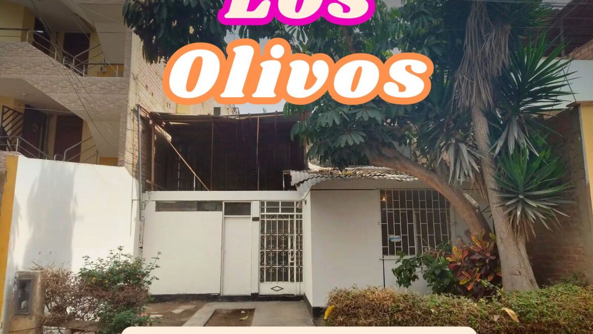 la imagen de vídeo
